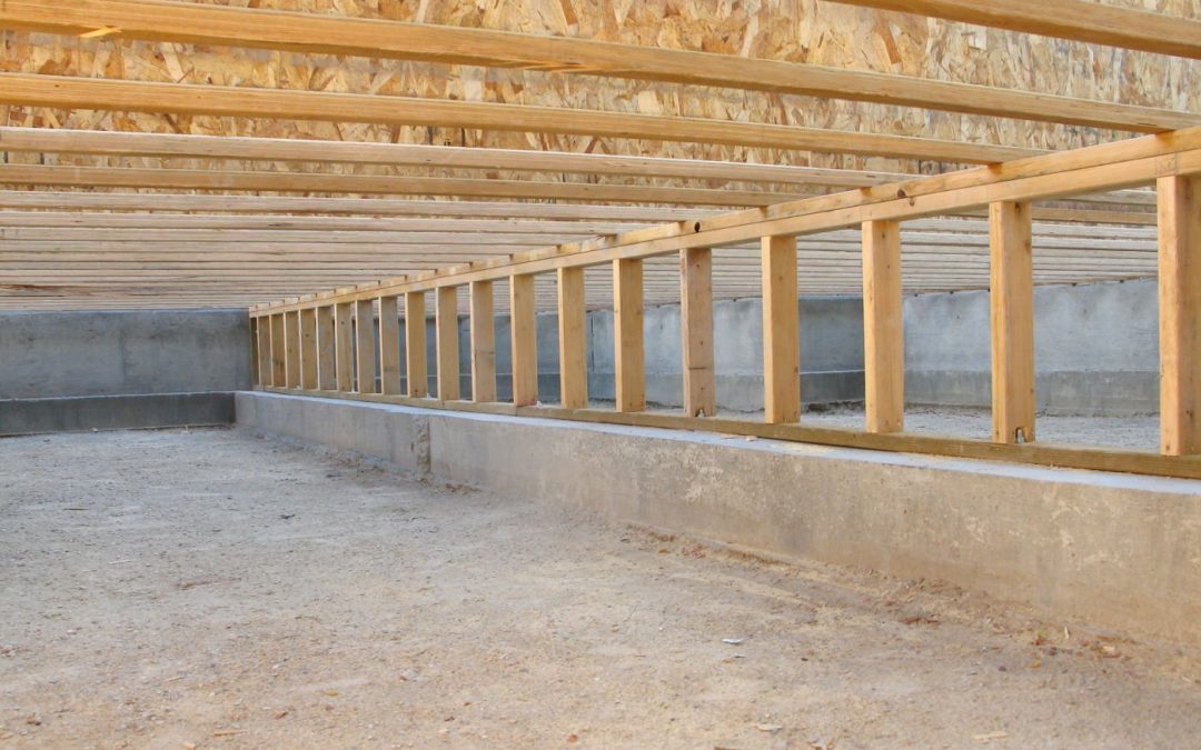 Should I Worry About Mold in My Crawl Space?