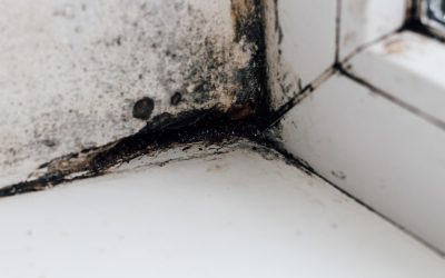 Mold in a home near a window frame
