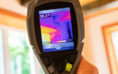Mold Removal Technology