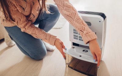A woman sets up a dehumidifier